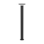 Eglo Lampada a piedistallo Rigosa Acciaio Nero 10W 1100lm - 830 Luce Calda -  | IP44