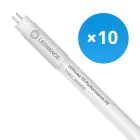 Confezione Multipack 10x Osram Tubo LED T5 Performance (HF) High Efficiency 16W 2160lm - 830 Luce Calda -  | 115cm - Sostitutiva 28W