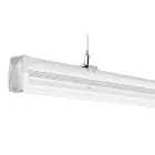 Noxion LED Fila Continua NX-Line V2 70W 12600lm 120D - 840 Bianco Freddo | 1500mm - Dali Dimmerabile - 8 Poli - UGR 